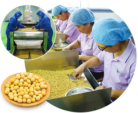 宏光-科學質量管理體系，確保產品品質